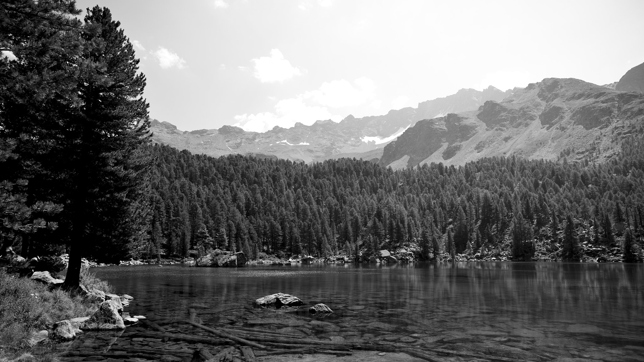 Nikon D800E sample photo. Near to the lake photography