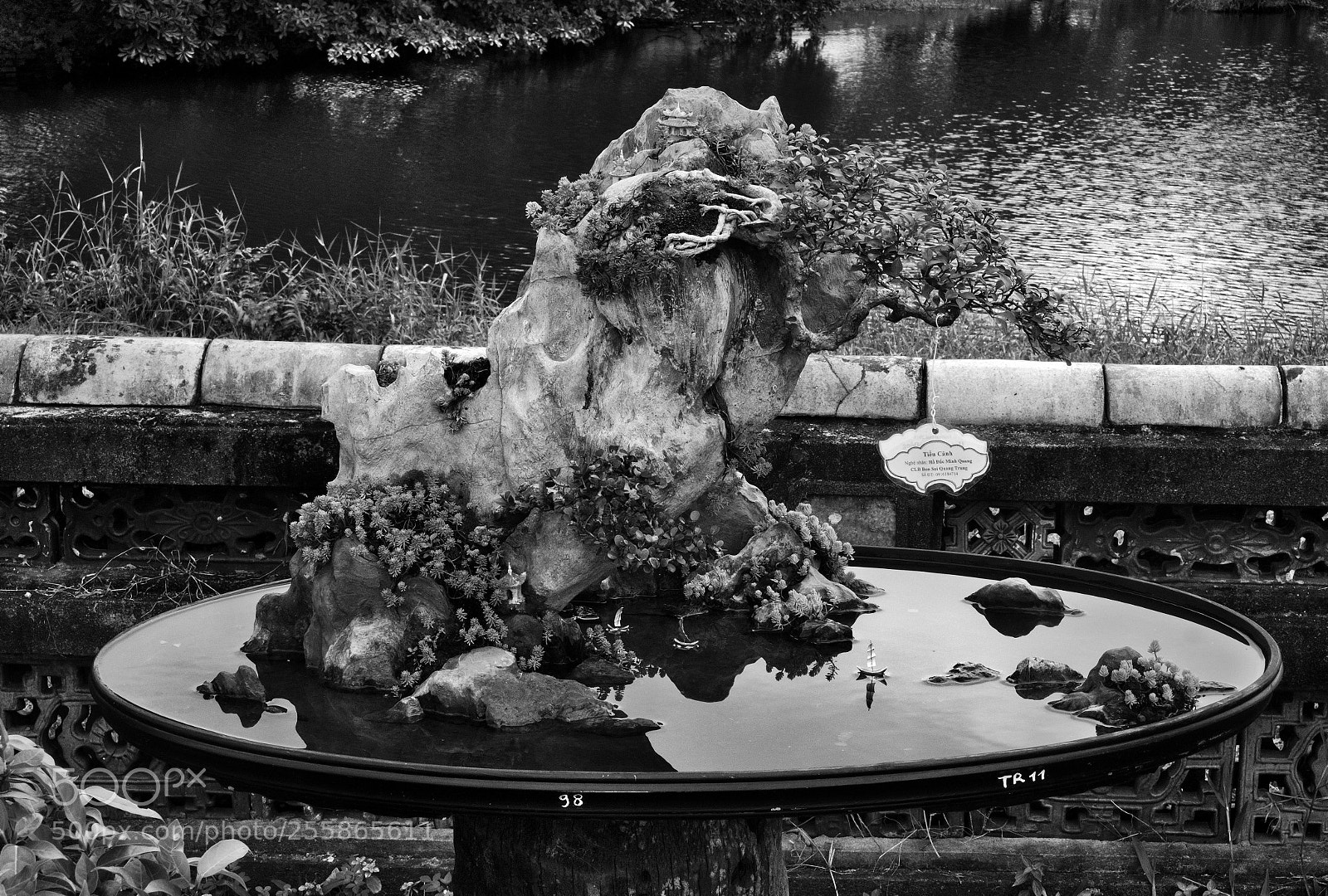 Fujifilm X-Pro2 sample photo. Saling in a bonsai photography