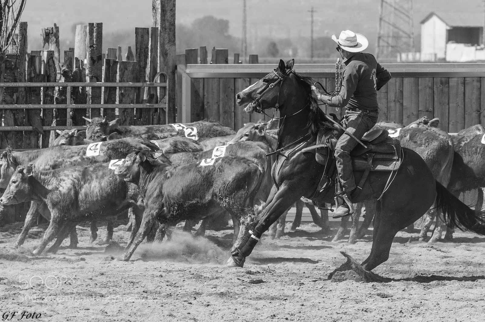 Nikon D90 sample photo. Team penning photography