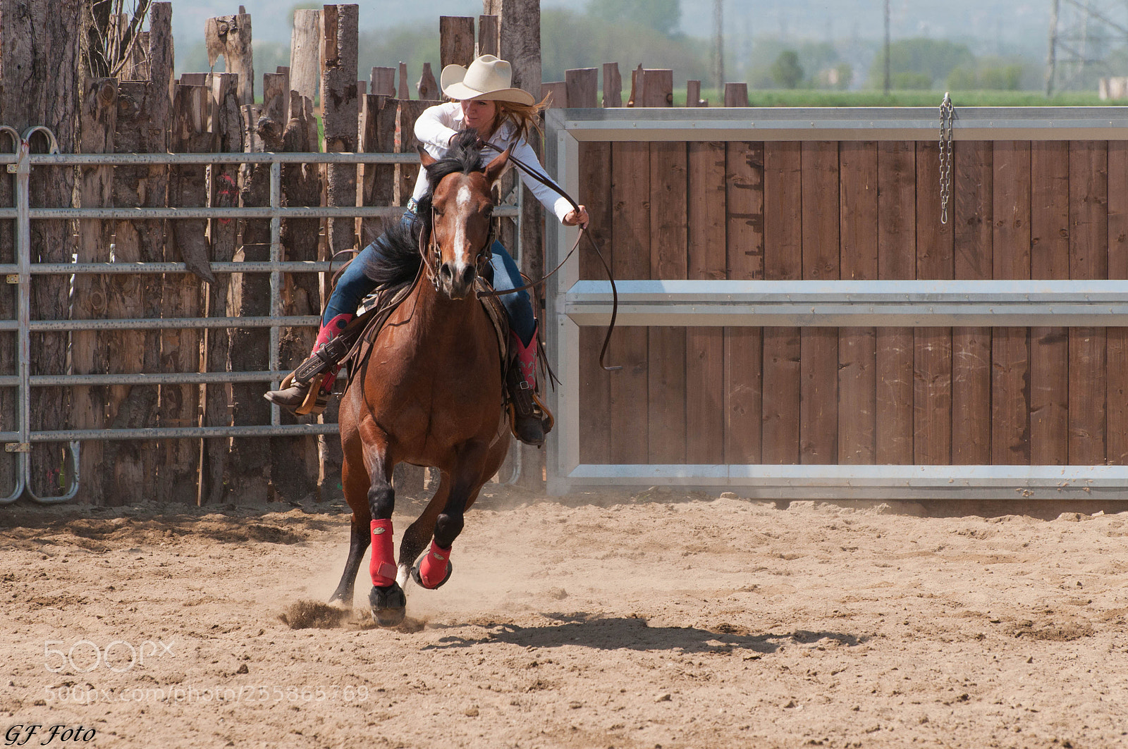 Nikon D90 sample photo. Team penning photography