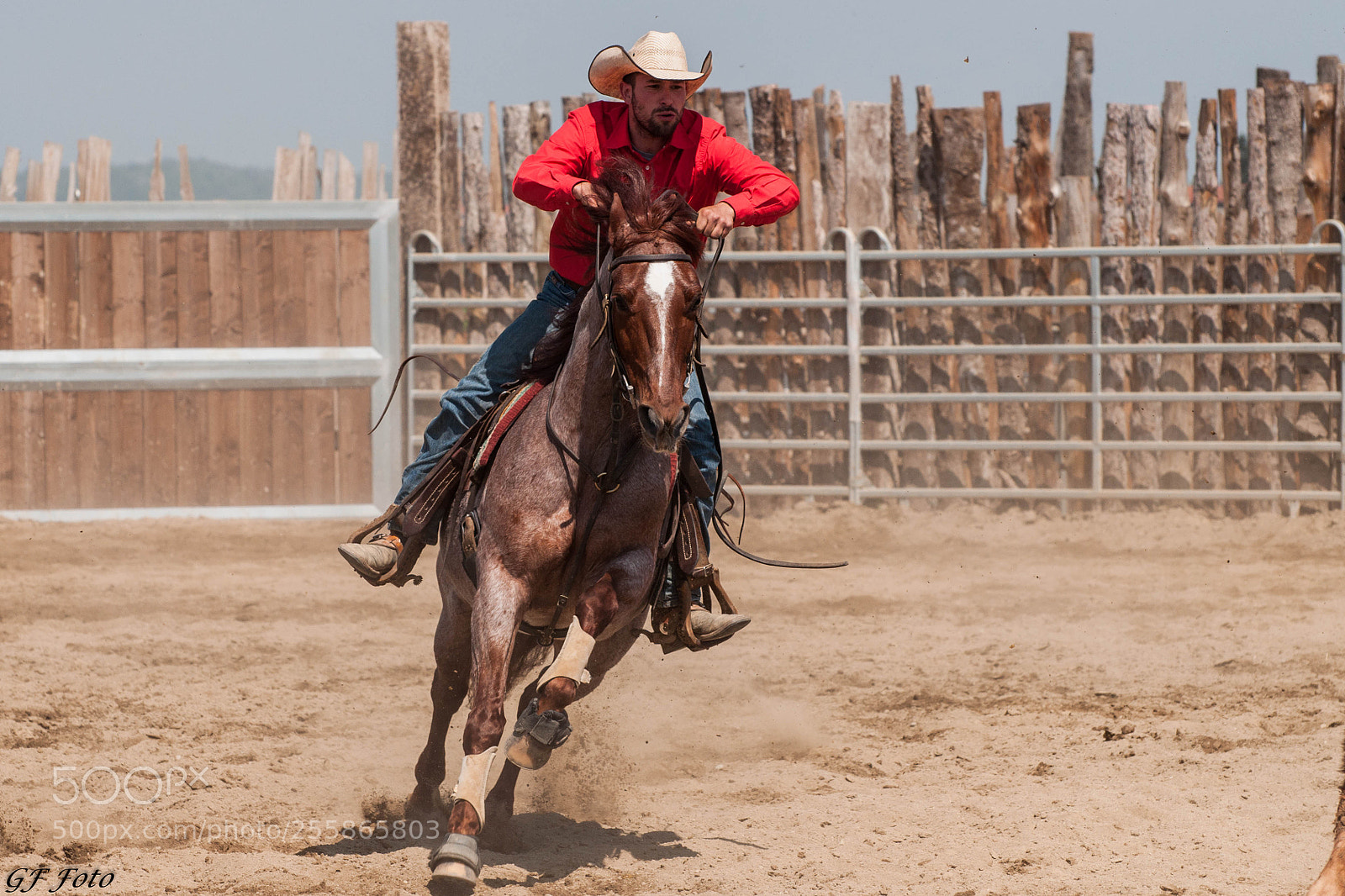 Nikon D90 sample photo. Team penning photography