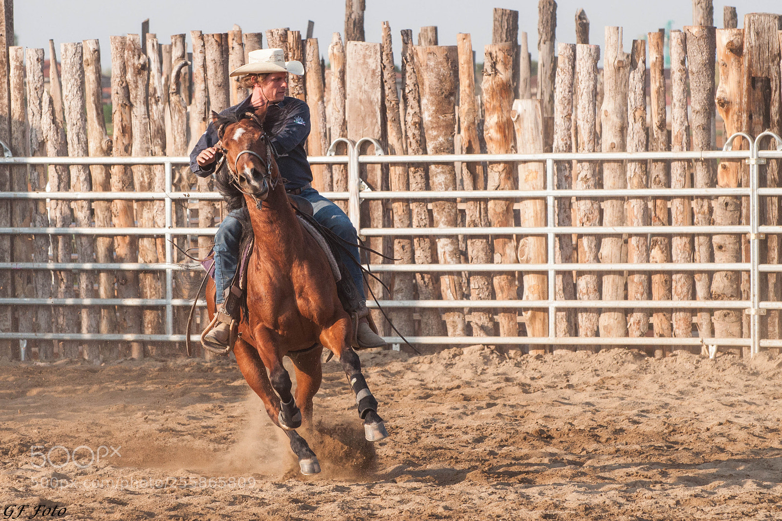 Nikon D90 sample photo. Team penning photography