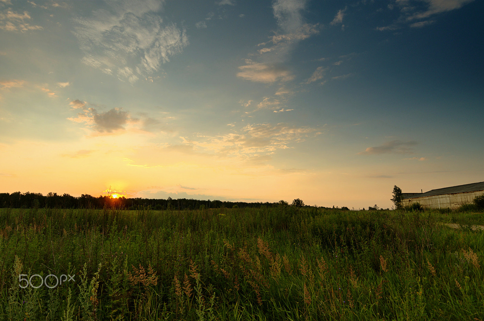 Nikon D7000 sample photo. 2015 jul 10 4:30, berestyanki photography
