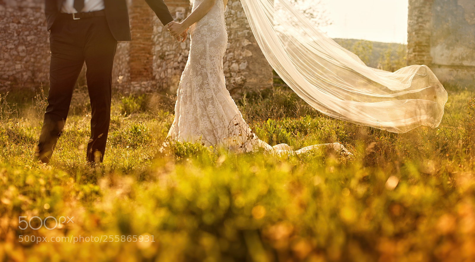 Canon EOS 5D Mark II sample photo. Ror photography photography