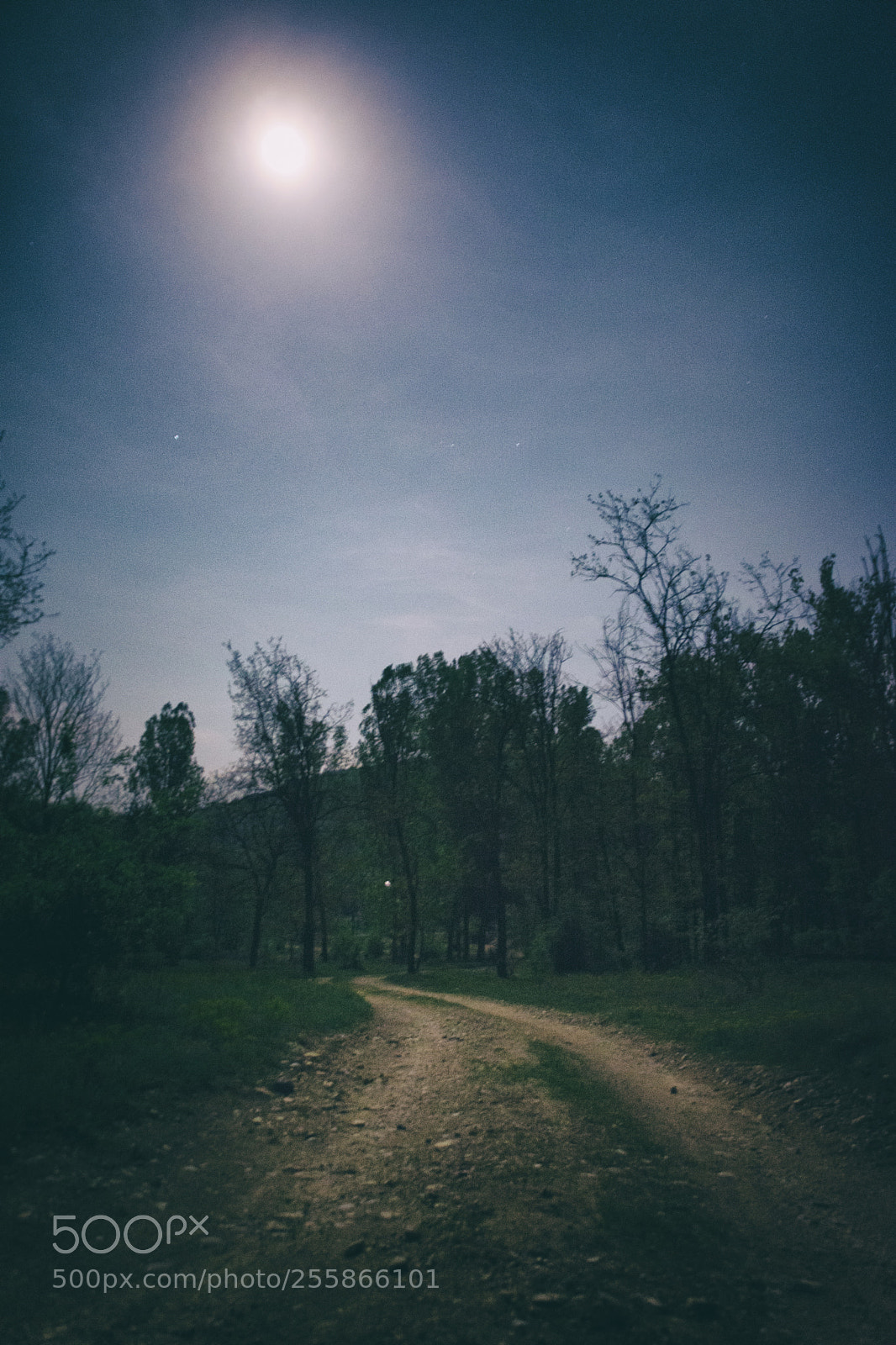 Nikon D7200 sample photo. Moon chant photography