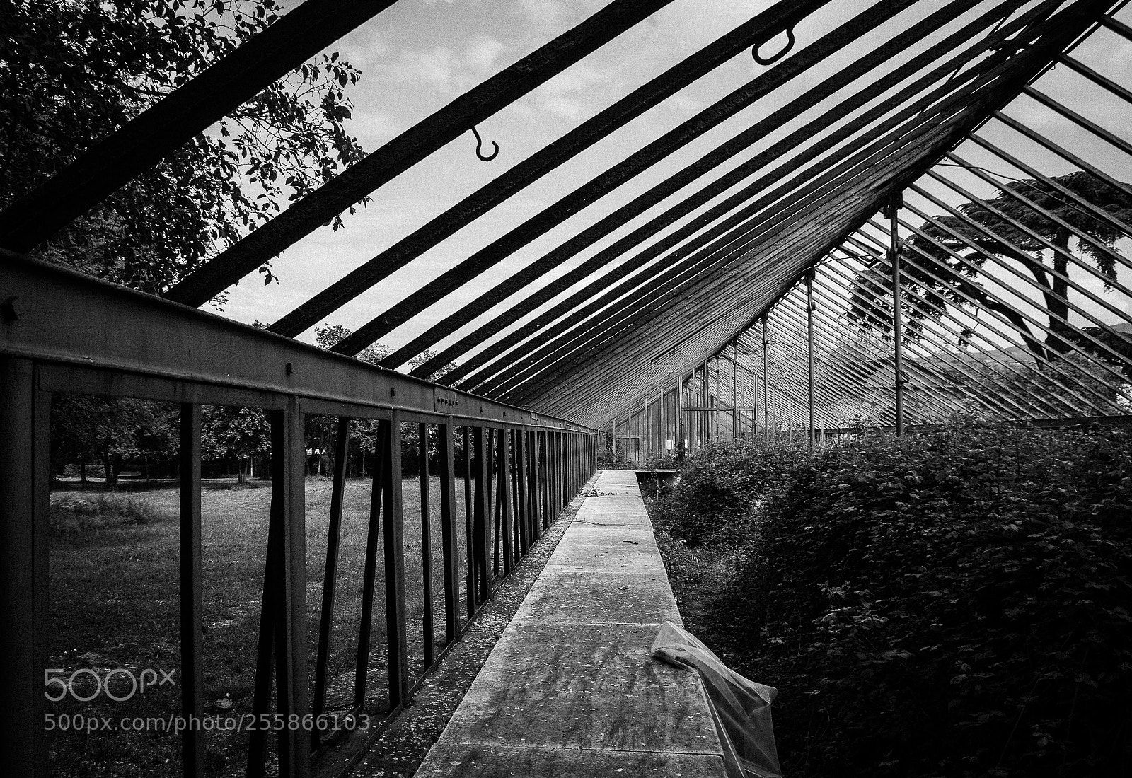 Pentax K-3 sample photo. Greenhouse photography