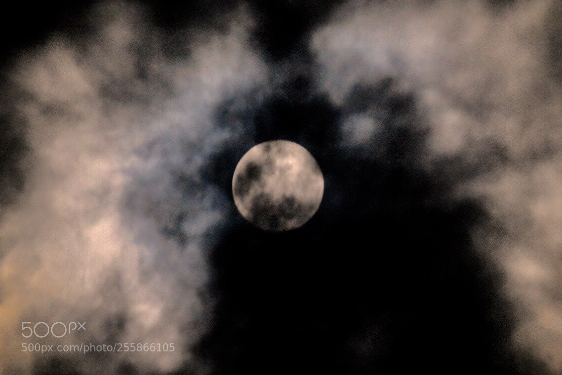 Nikon D7200 sample photo. Full moon just coming photography