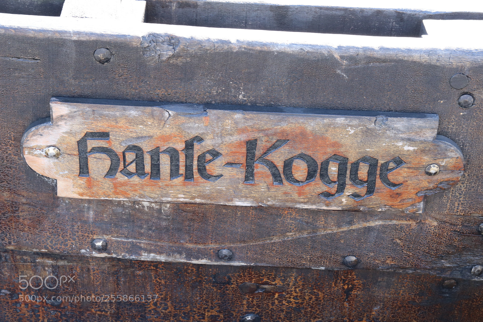 Canon EOS 750D (EOS Rebel T6i / EOS Kiss X8i) sample photo. Untitled photography