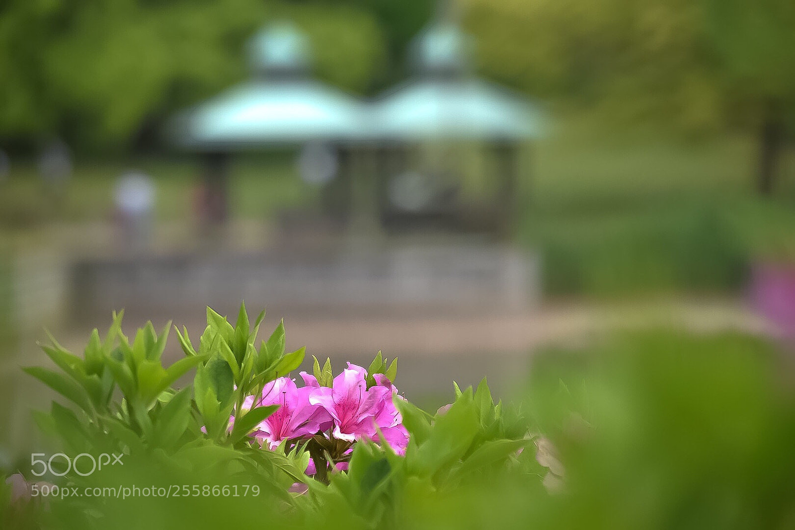 Nikon D5500 sample photo. Untitled photography