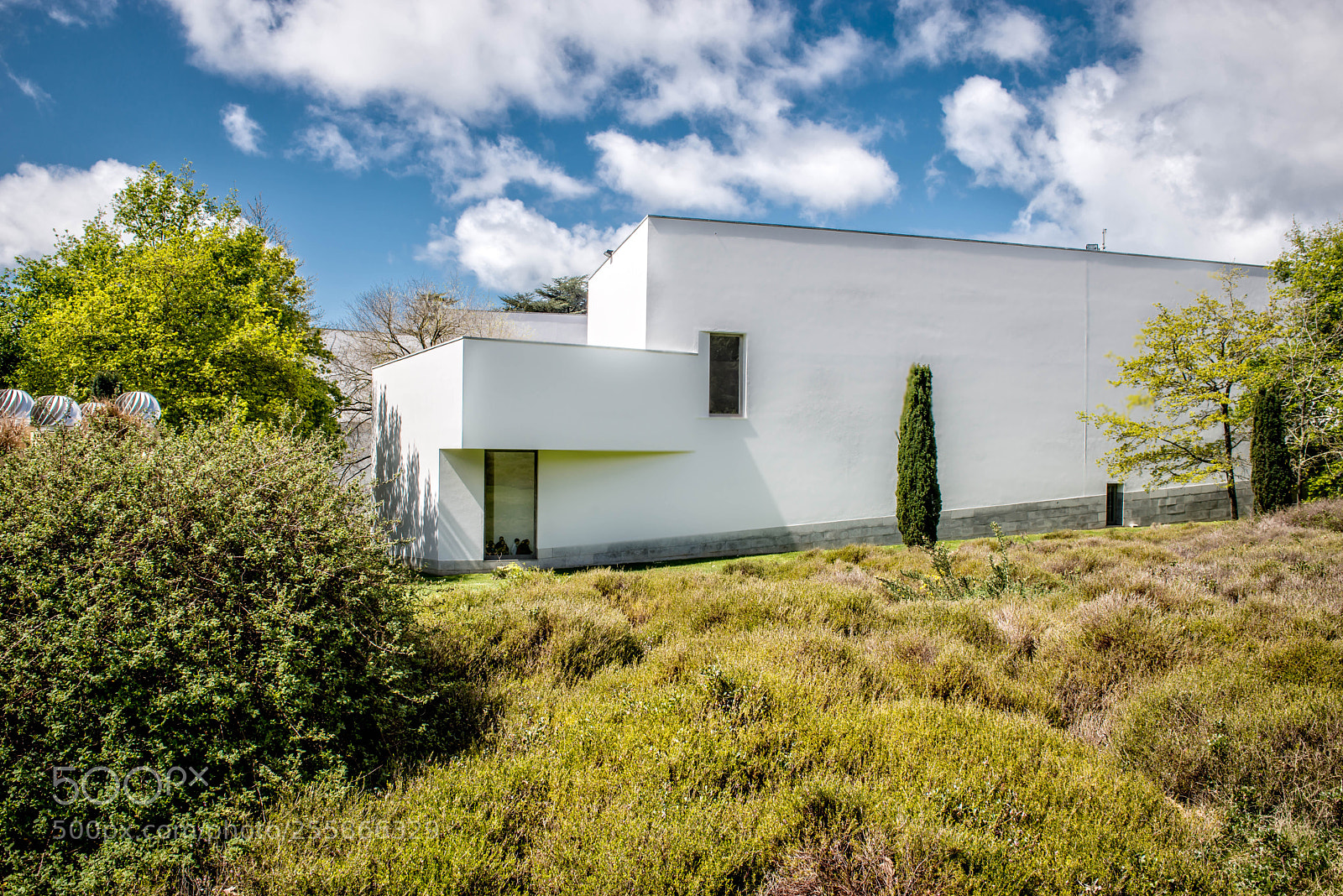 Nikon D800 sample photo. Serralves museum photography