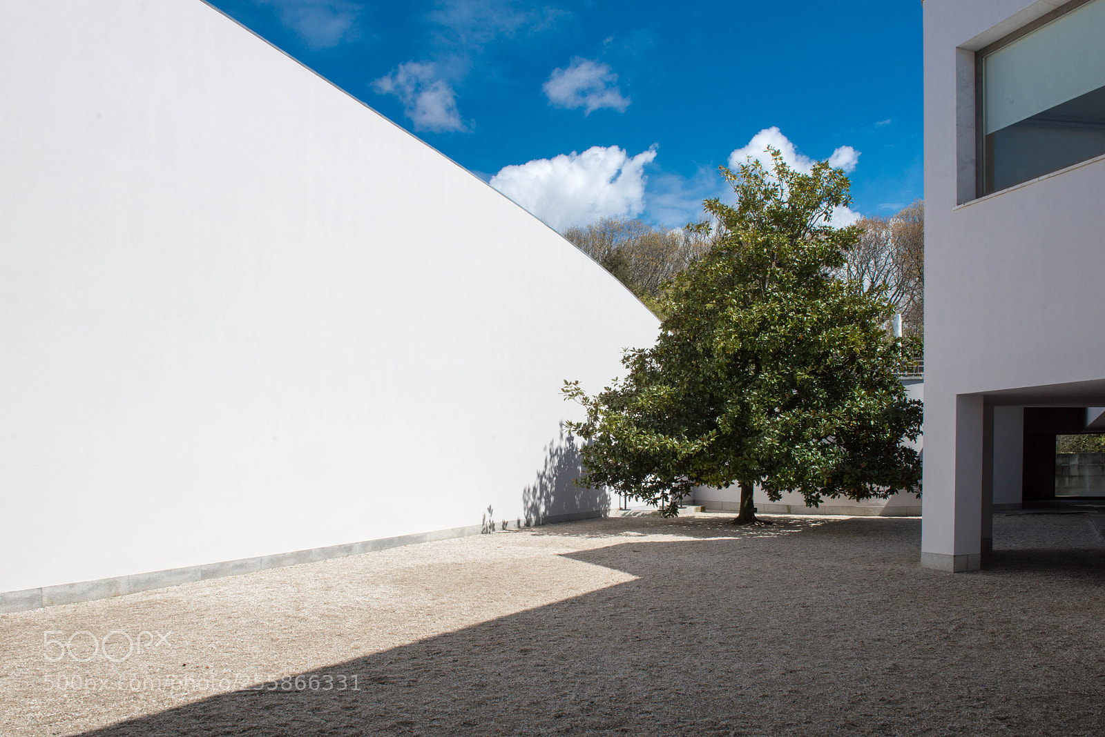 Nikon D800 sample photo. Serralves museum ii photography
