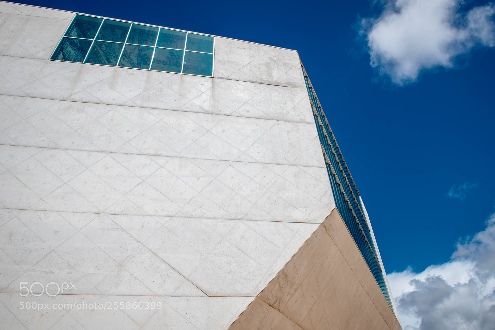 Nikon D800 sample photo. Casa da musica ii photography