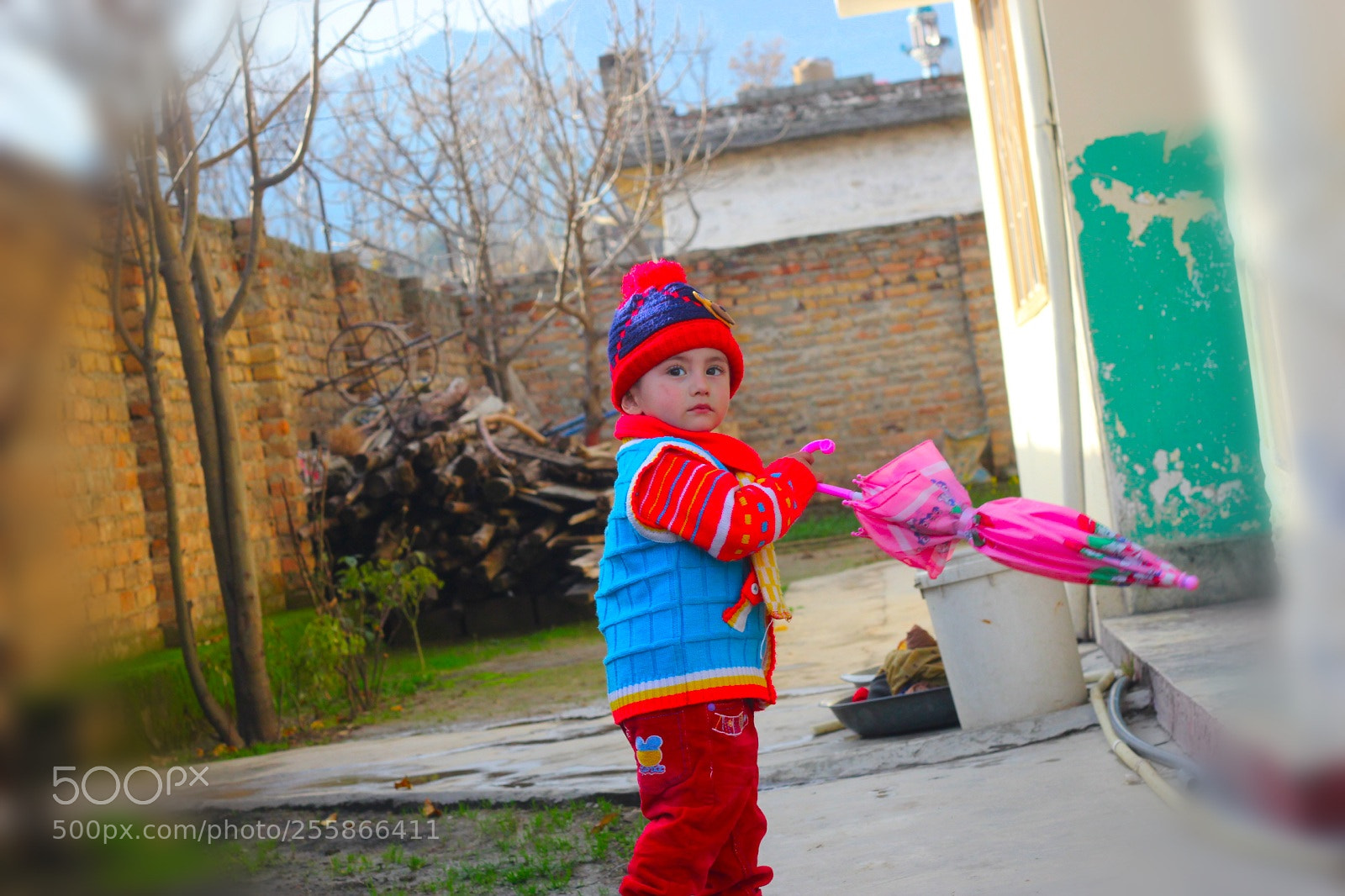 Canon EOS 60D sample photo. Untitled photography