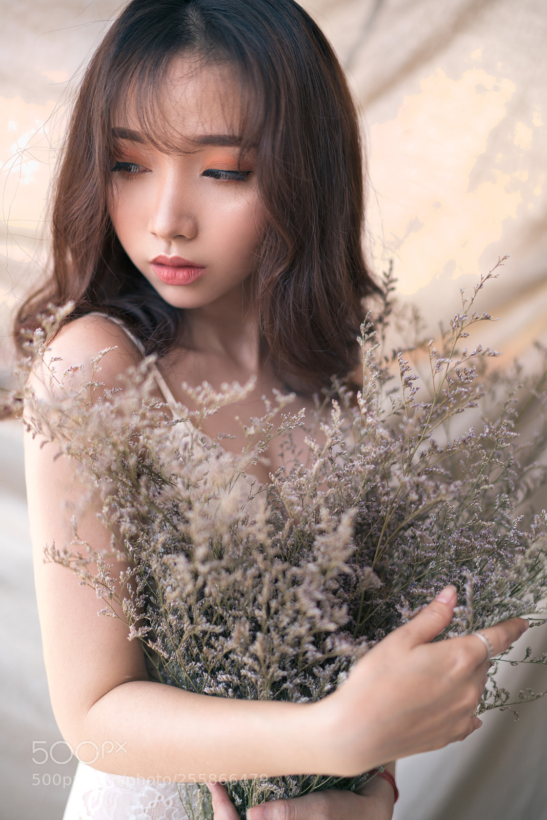 Sony a7R II sample photo. Thanh photography