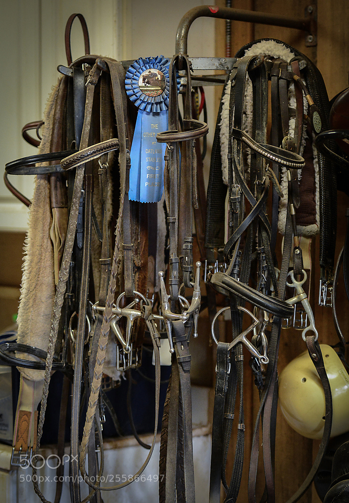 Nikon D800 sample photo. In the tack room 1 photography