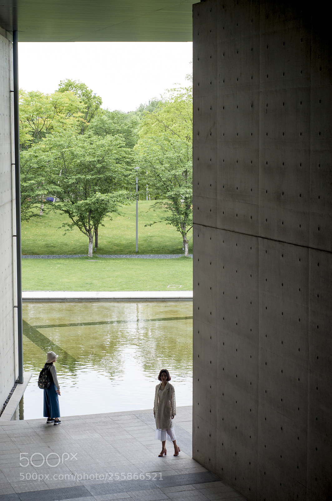 Nikon D90 sample photo. The meet photography