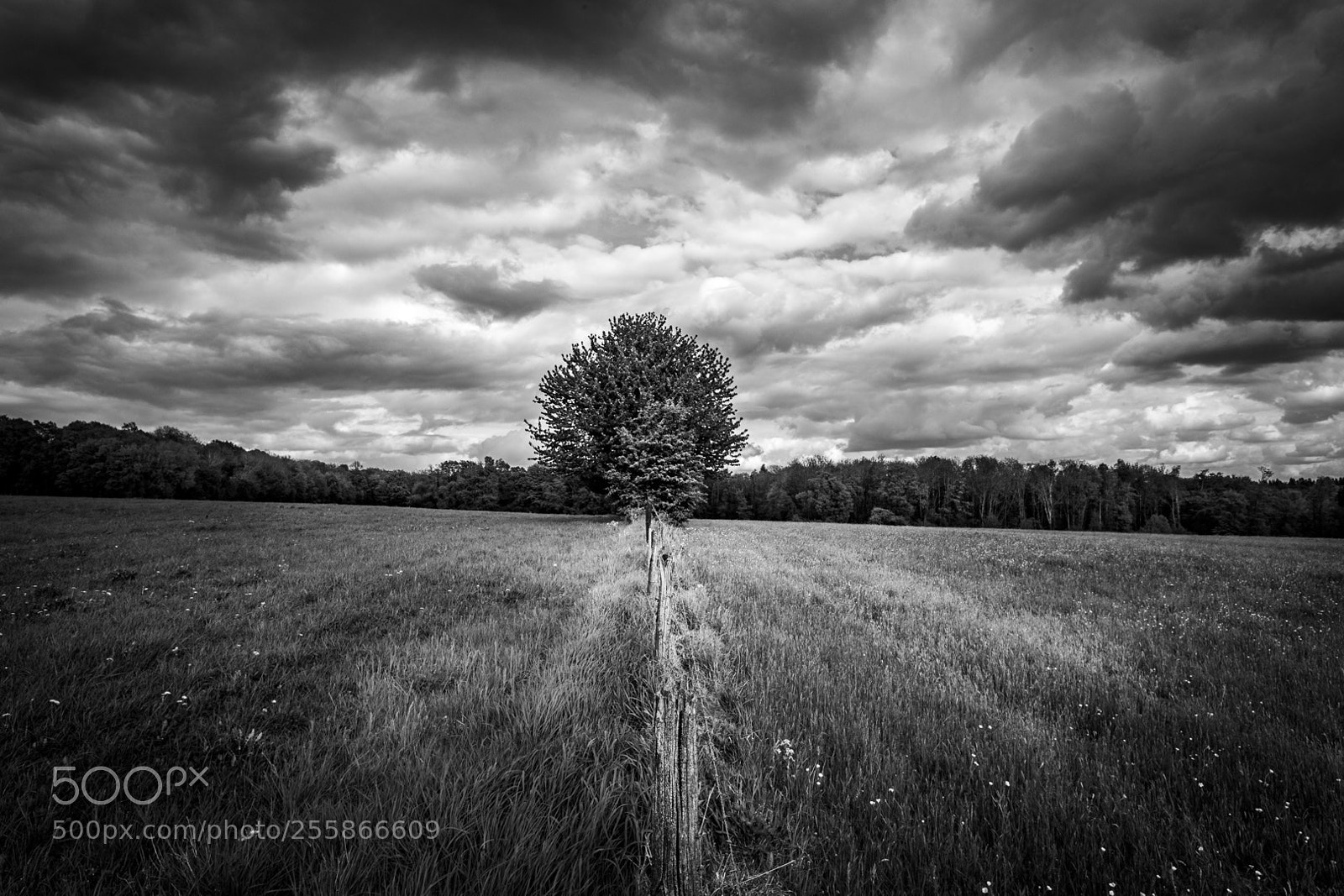 Canon EOS 6D sample photo. Dramatic nature photography