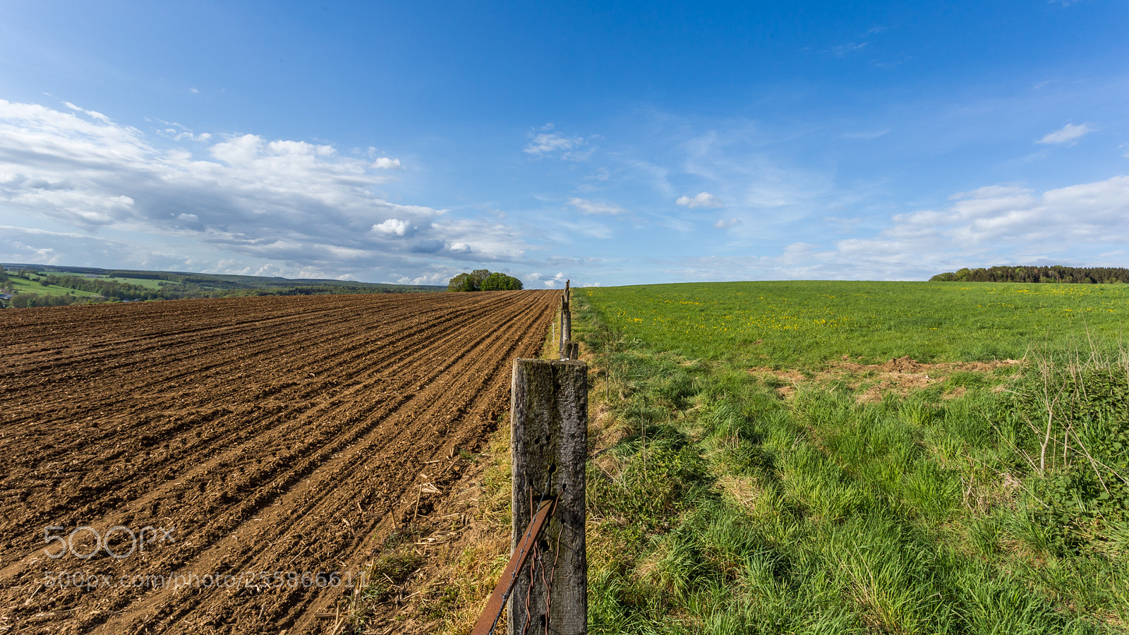 Canon EOS 6D sample photo. Brown,blue,green photography