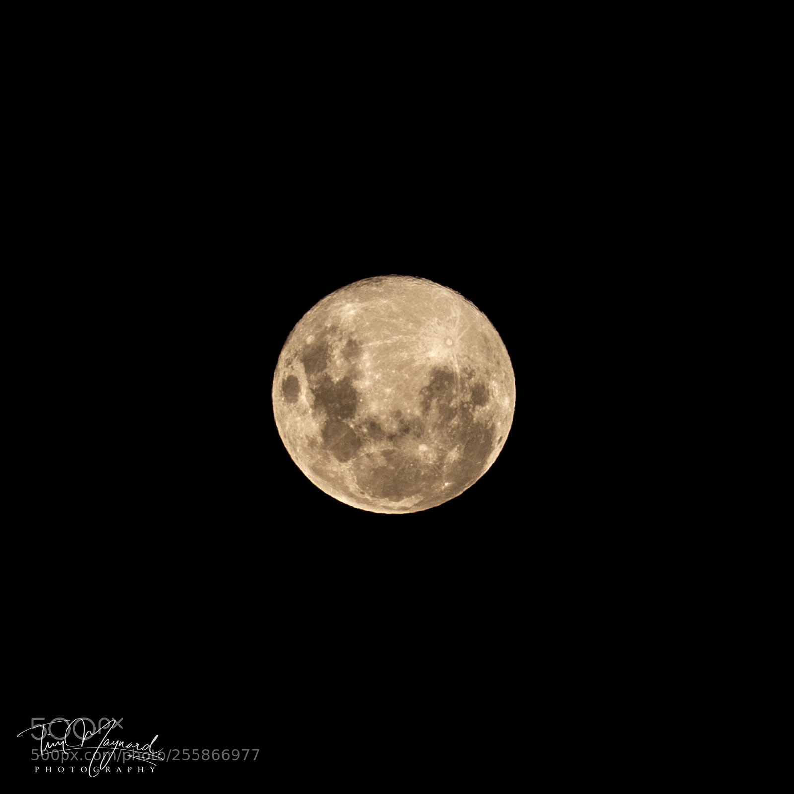 Canon EOS 6D sample photo. Goodnight moon photography