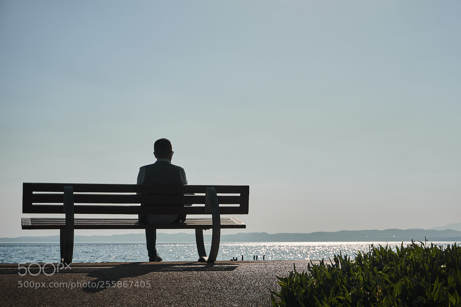Sony a6000 sample photo. Life's moment photography