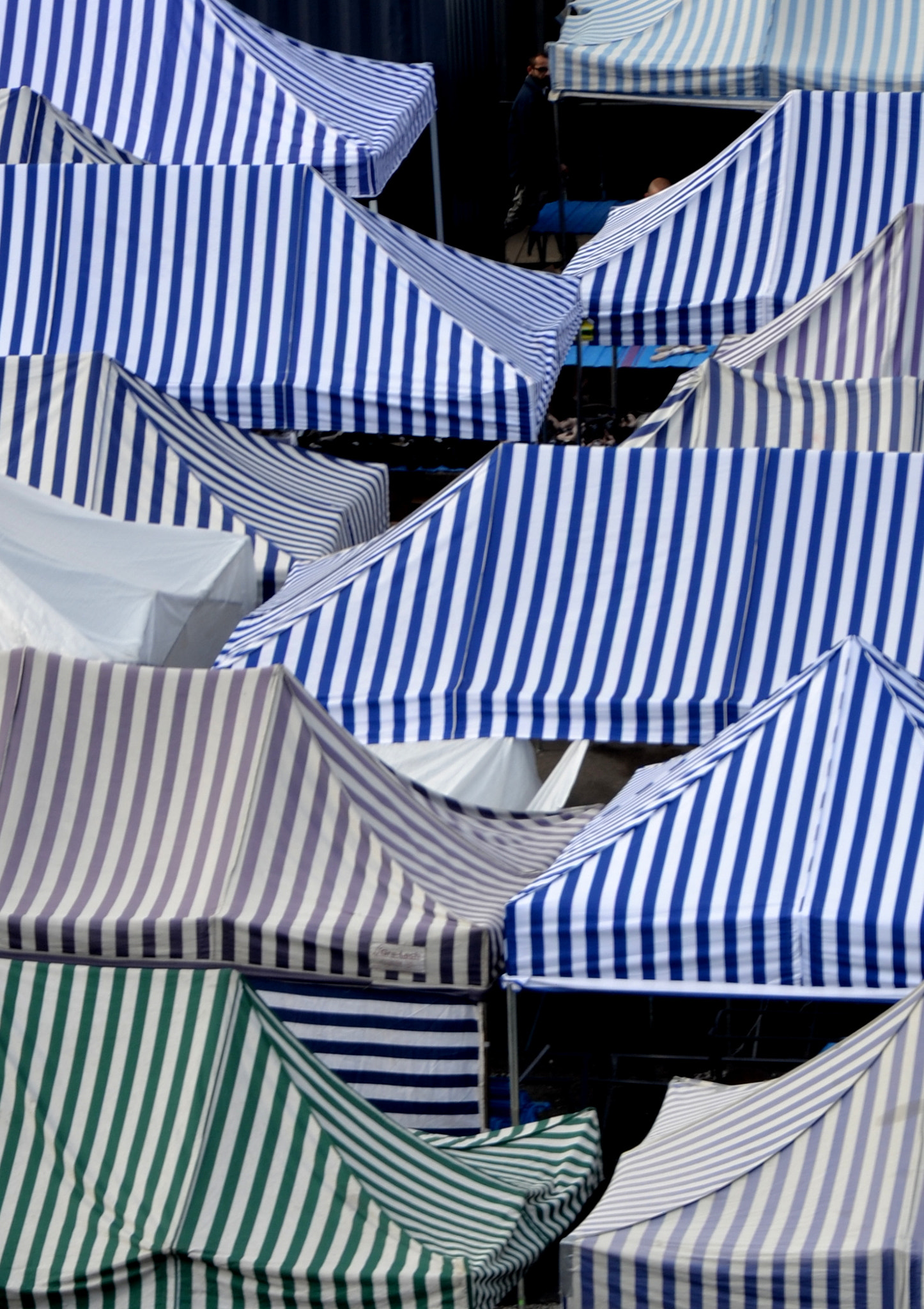 Nikon D3100 sample photo. Stripes ii photography