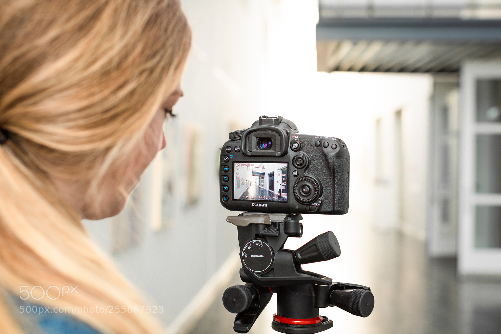 Canon EOS 5D Mark IV sample photo. Robin photography