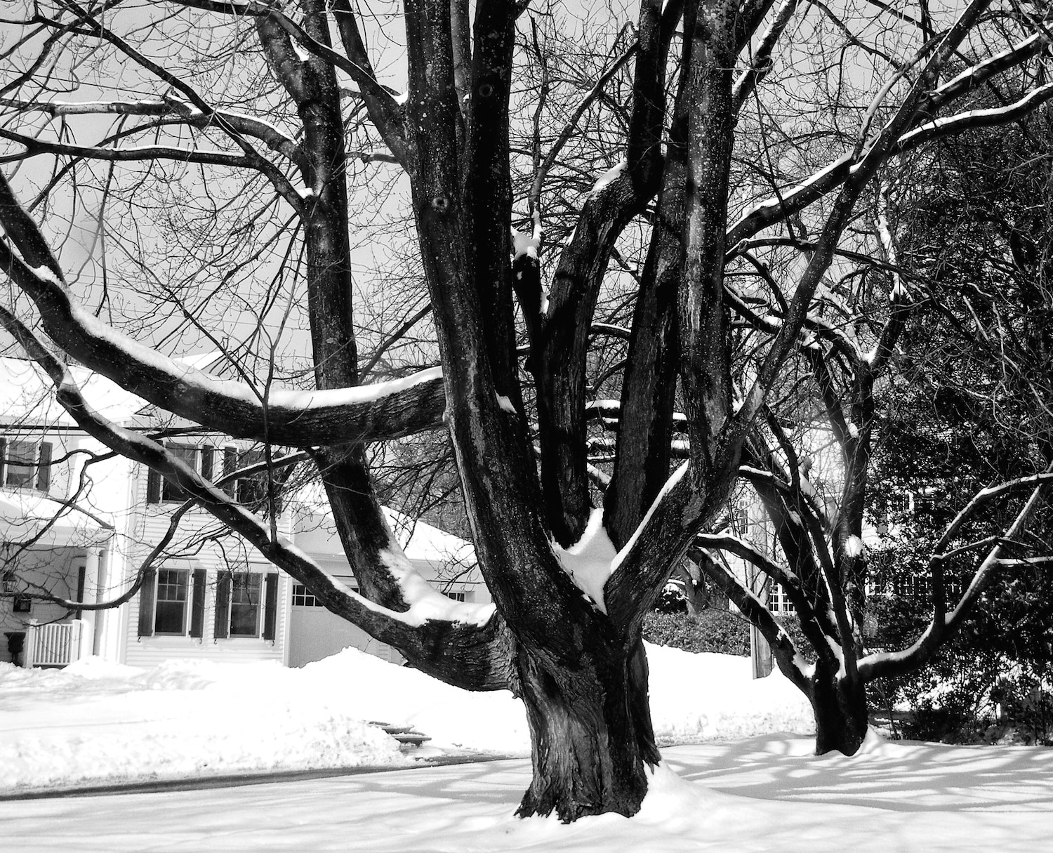 Nikon Coolpix S8100 sample photo. The last snow photography