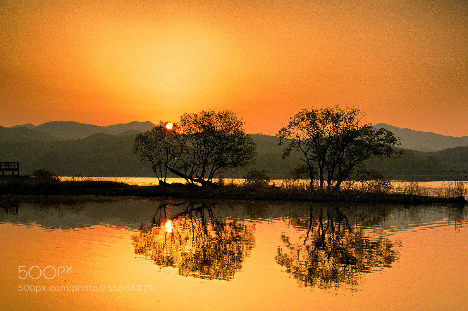 Nikon D500 sample photo. Sunrise photography