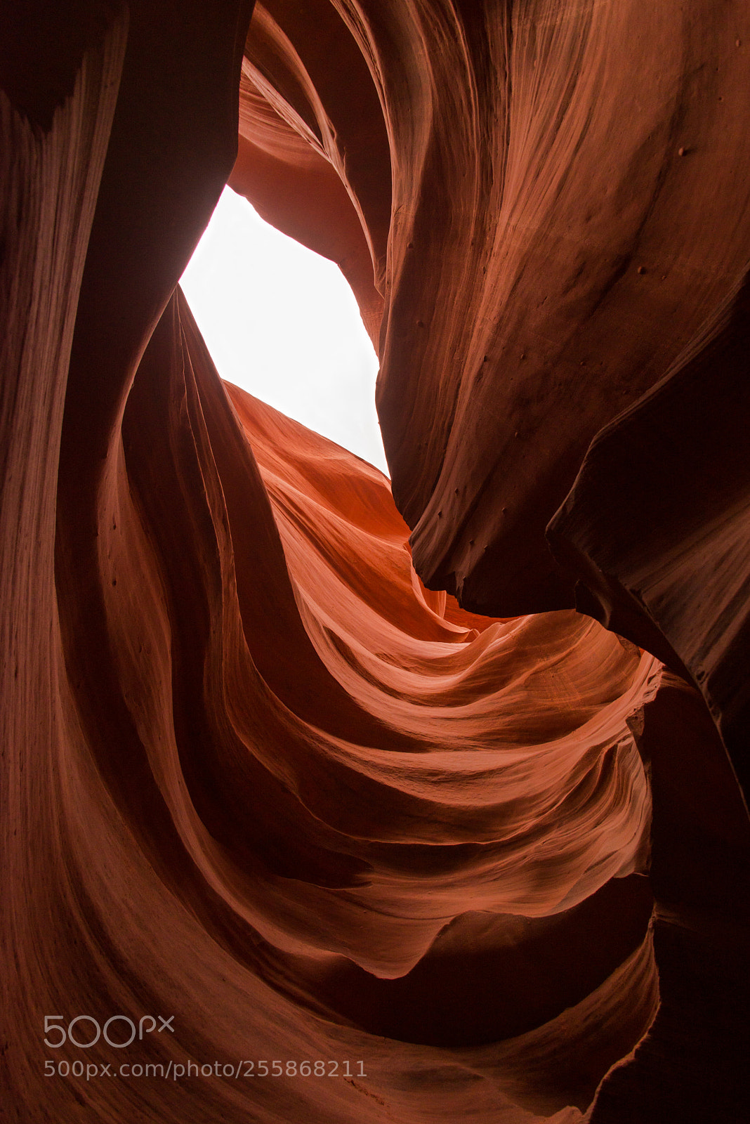 Nikon D600 sample photo. Canyon wave photography