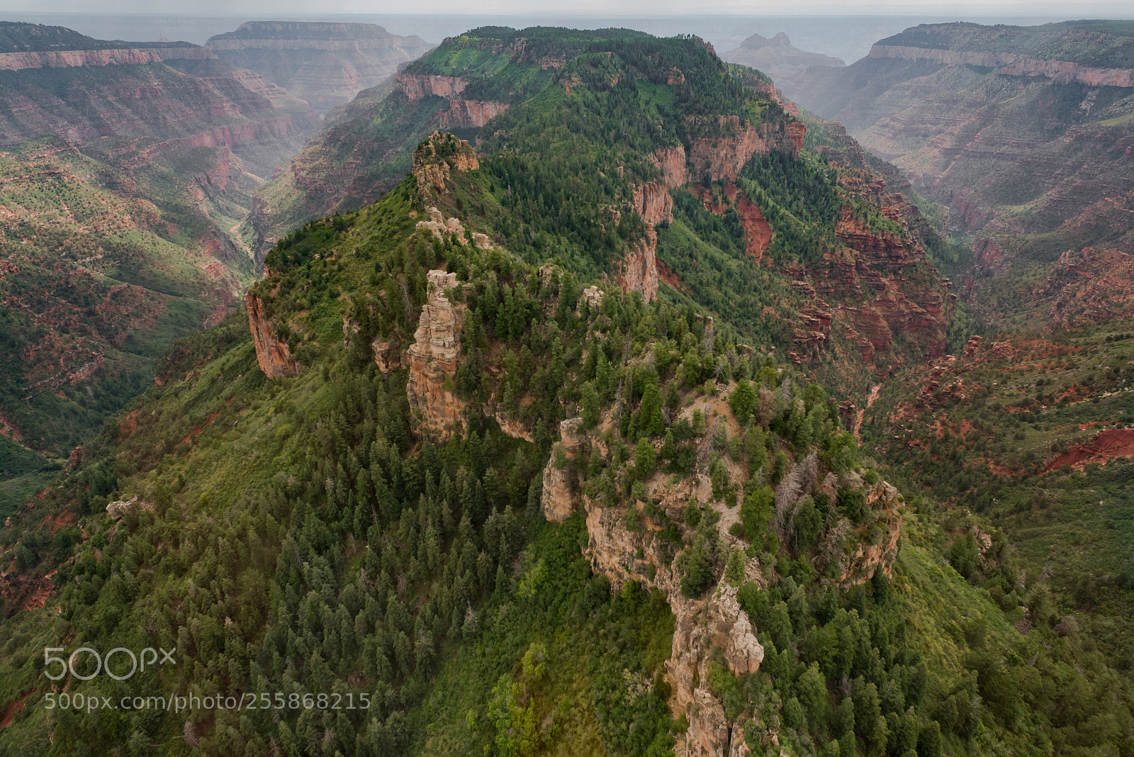 Nikon D600 sample photo. Green canyon photography
