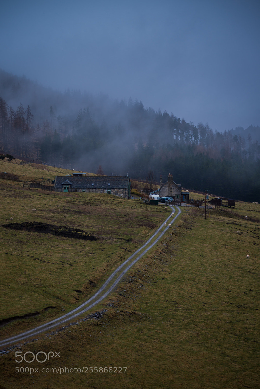 Nikon D600 sample photo. Misty farm photography