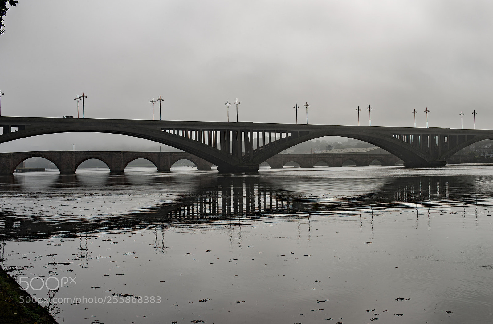 Nikon D610 sample photo. Bridges over the river photography