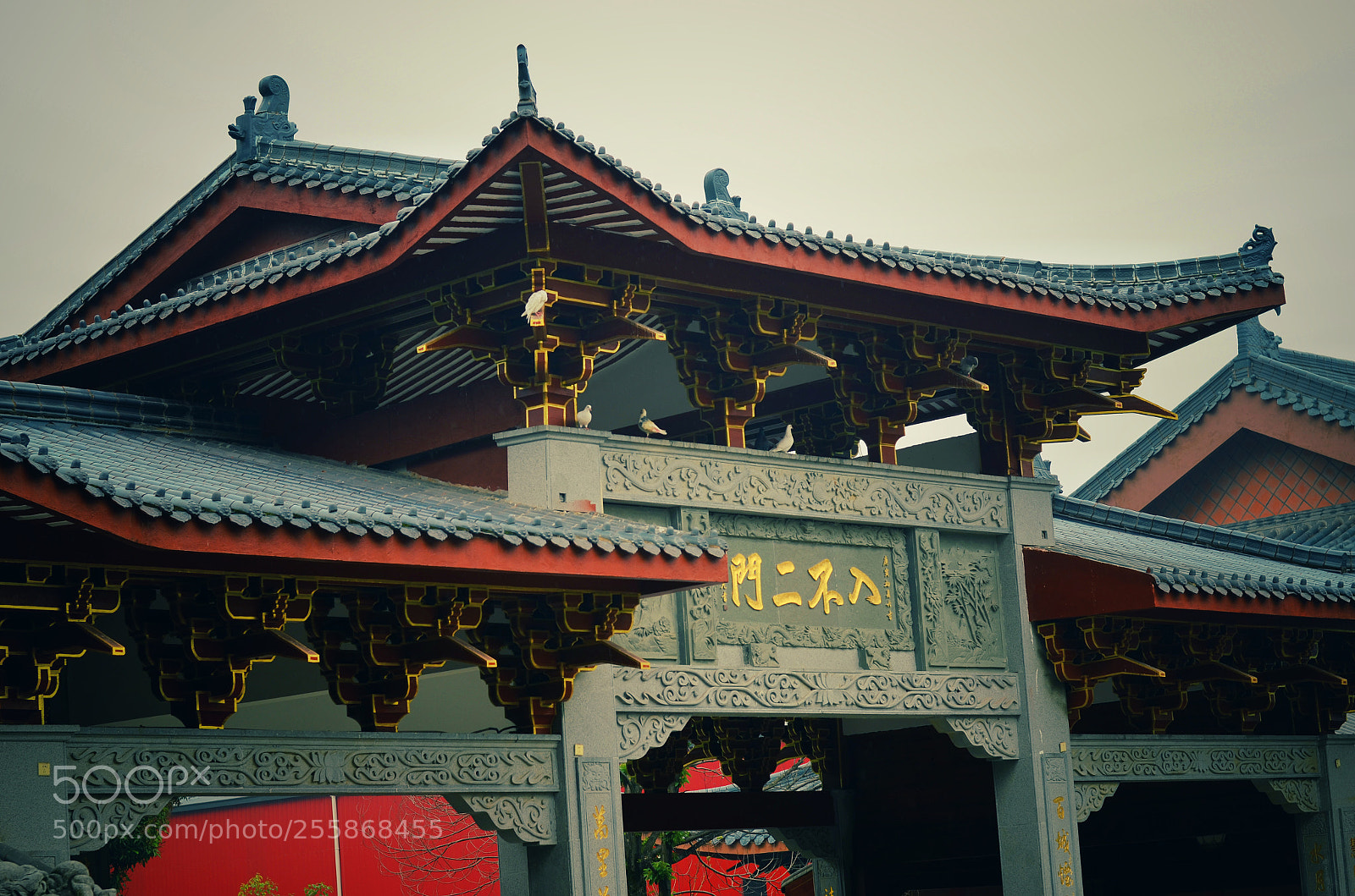 Nikon D7000 sample photo. Untitled photography