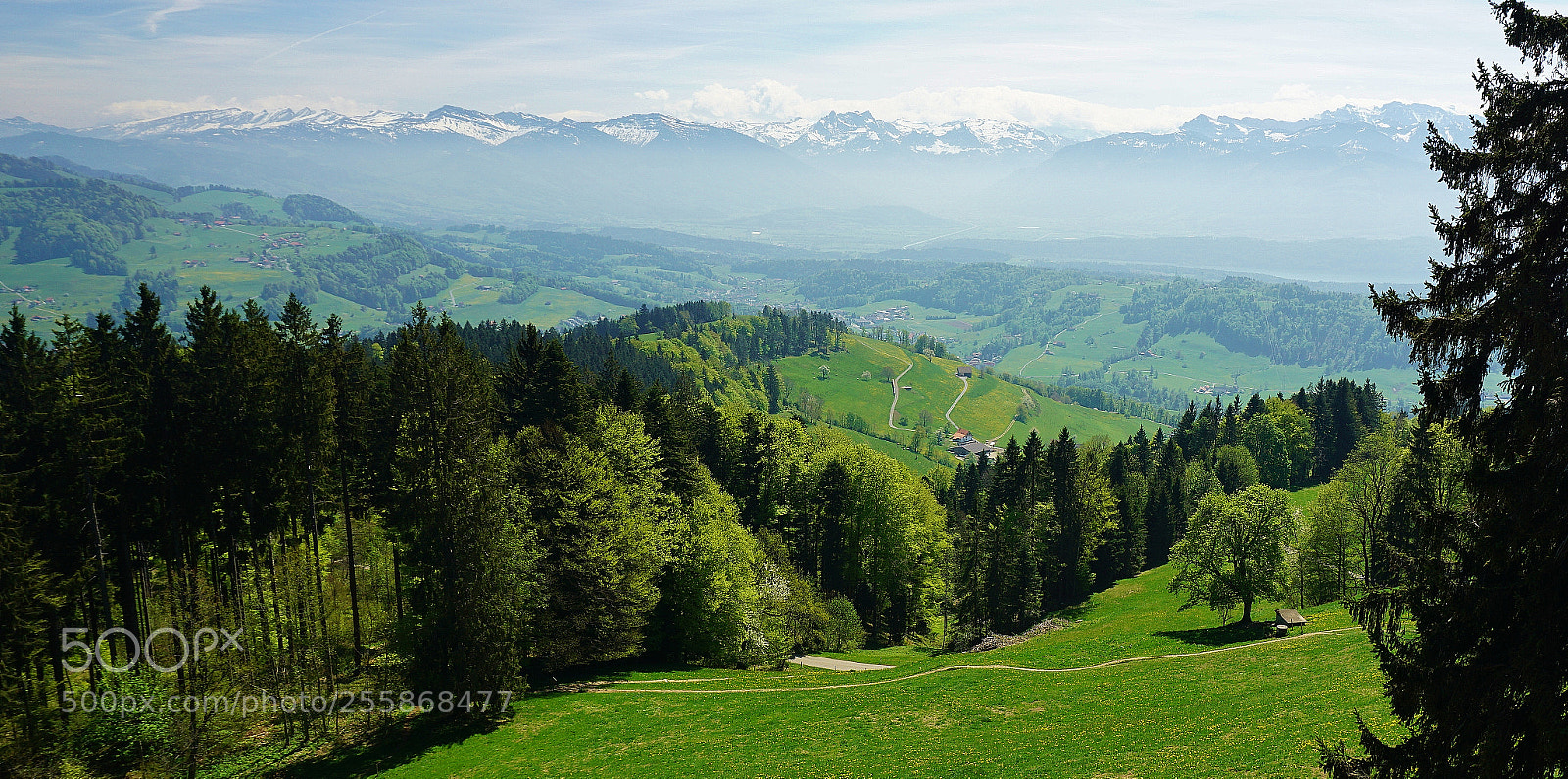 Sony a6000 sample photo. Aussicht vom bachtel-turm photography