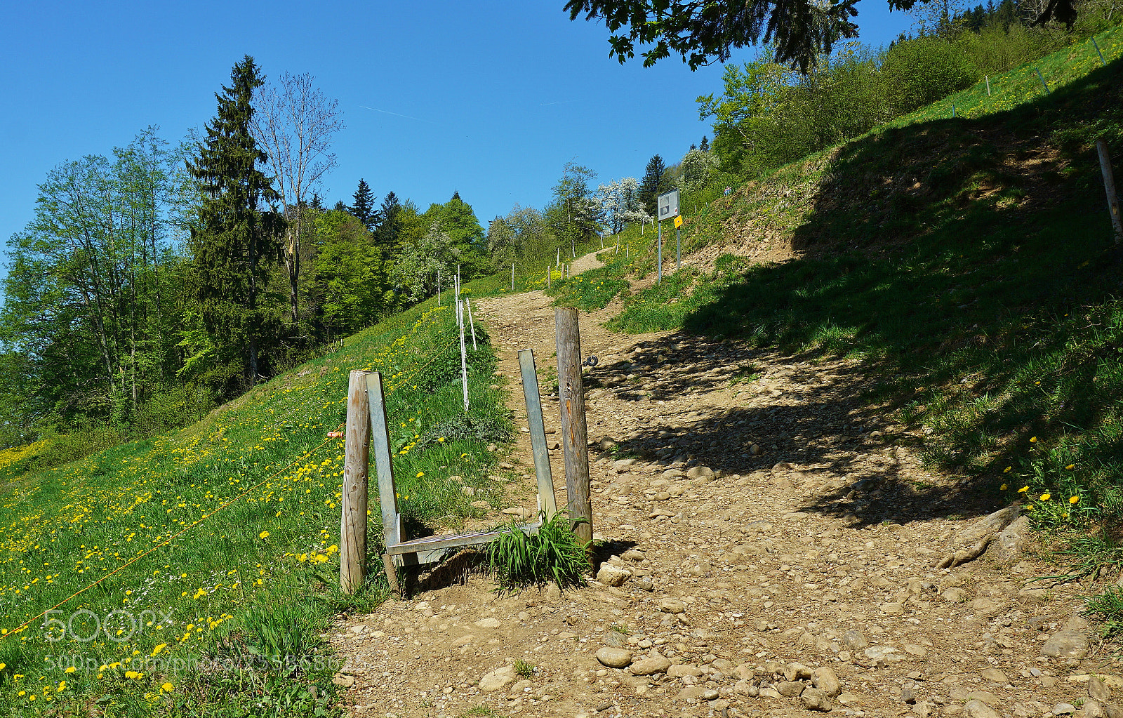 Sony a6000 sample photo. Natur pur photography