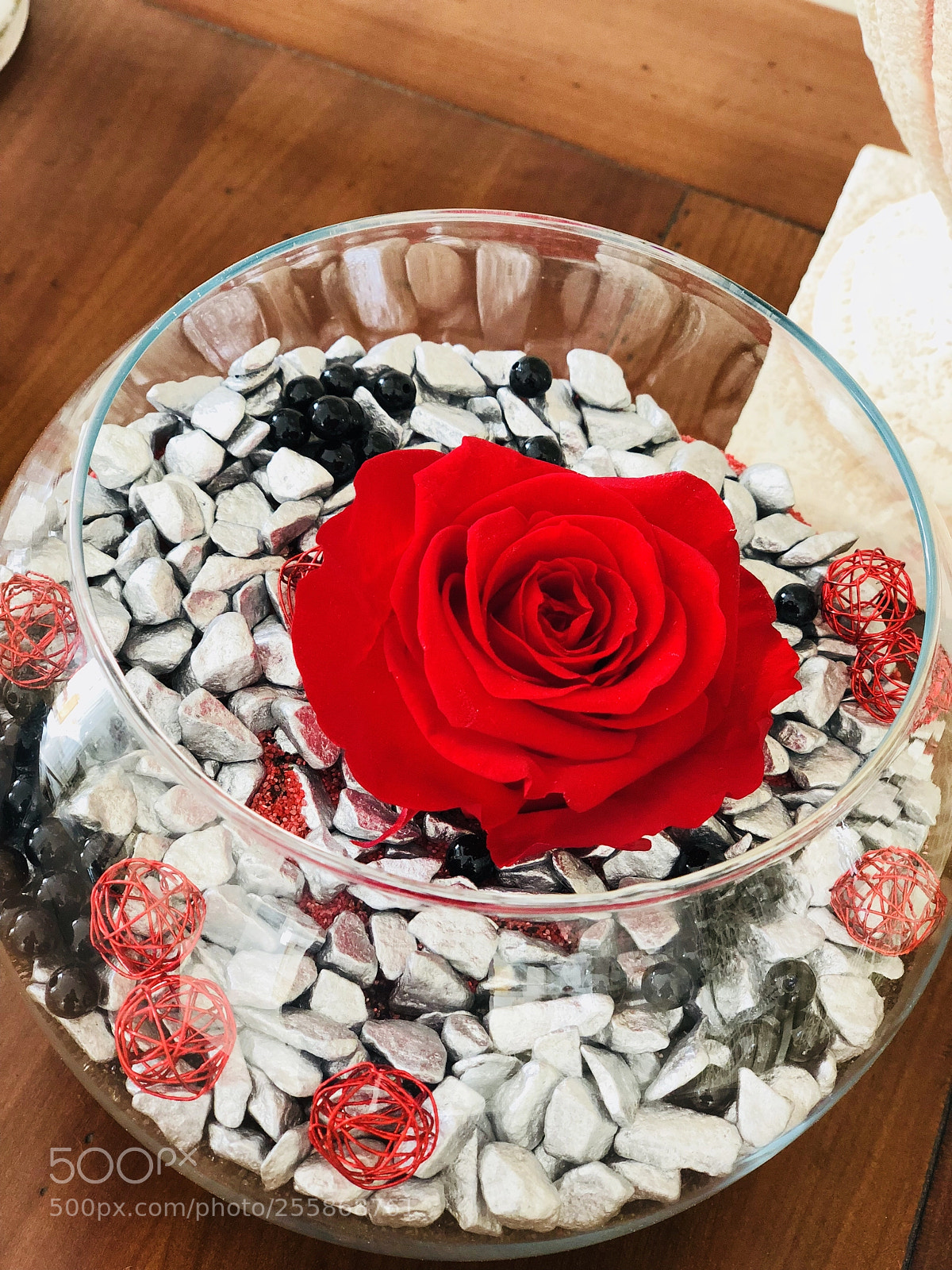 Apple iPhone X sample photo. La rose éternelle  photography