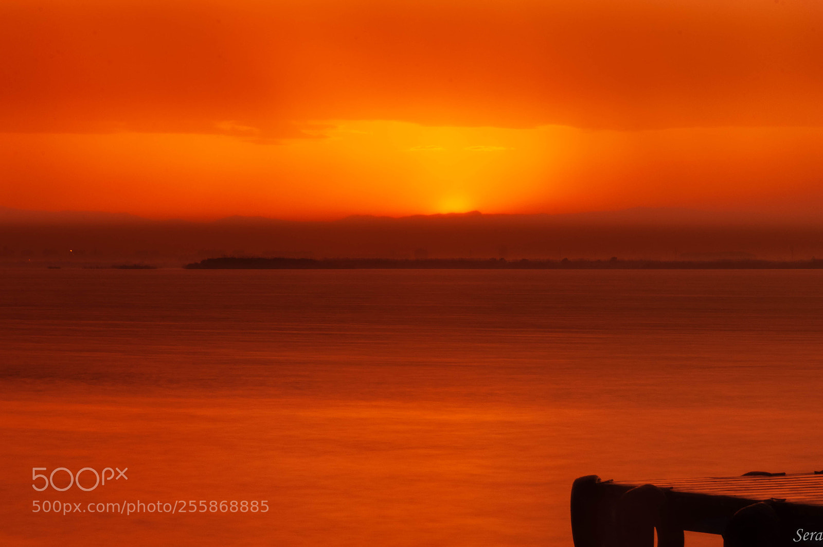 Nikon D90 sample photo. Colores en la albufera photography