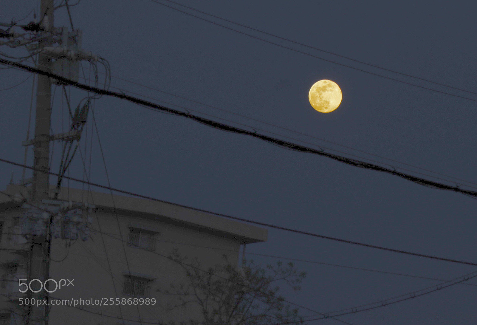 Canon EOS M5 sample photo. Telephone pole and full photography
