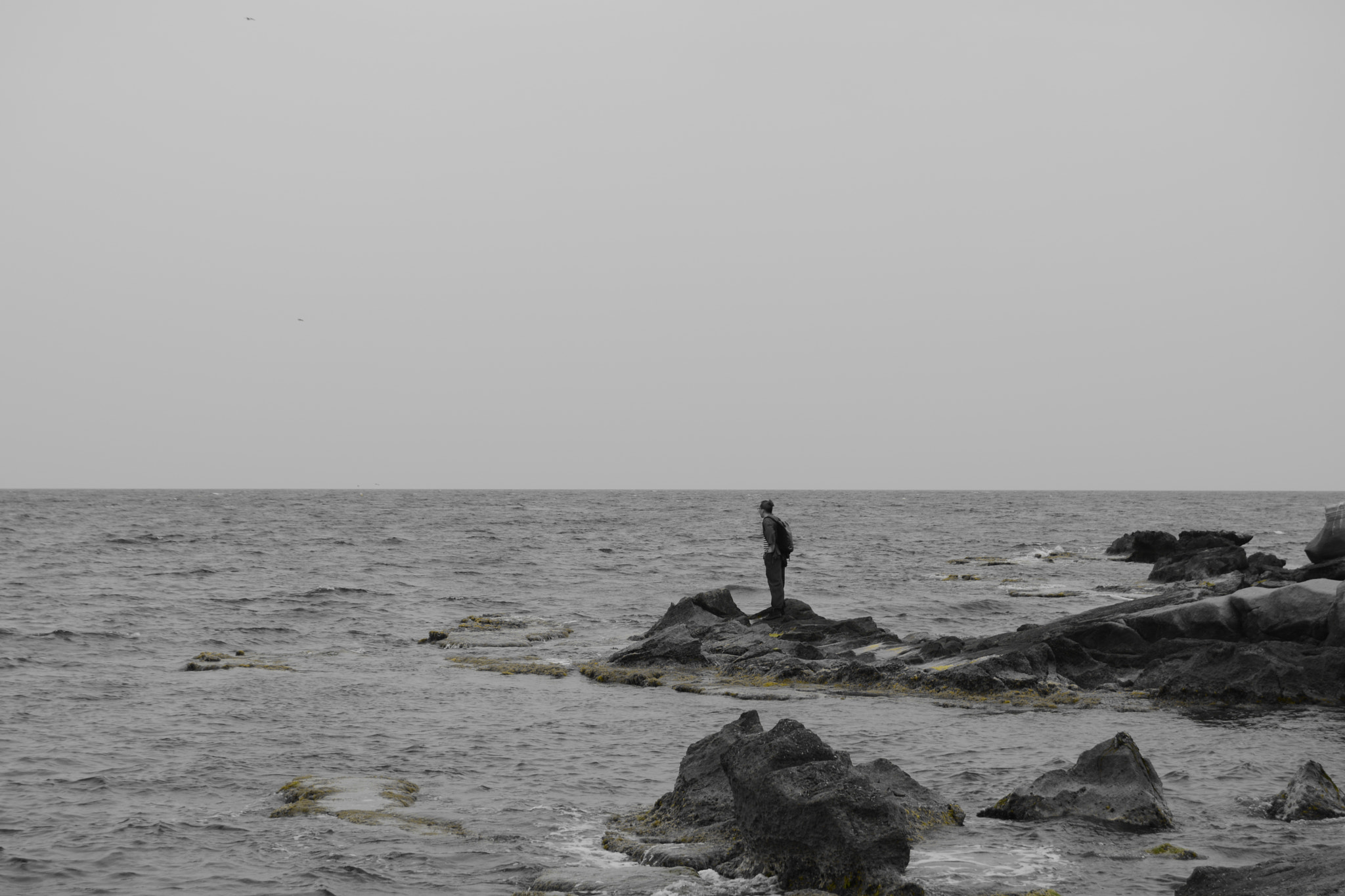 Nikon D5200 sample photo. Looking beyond photography