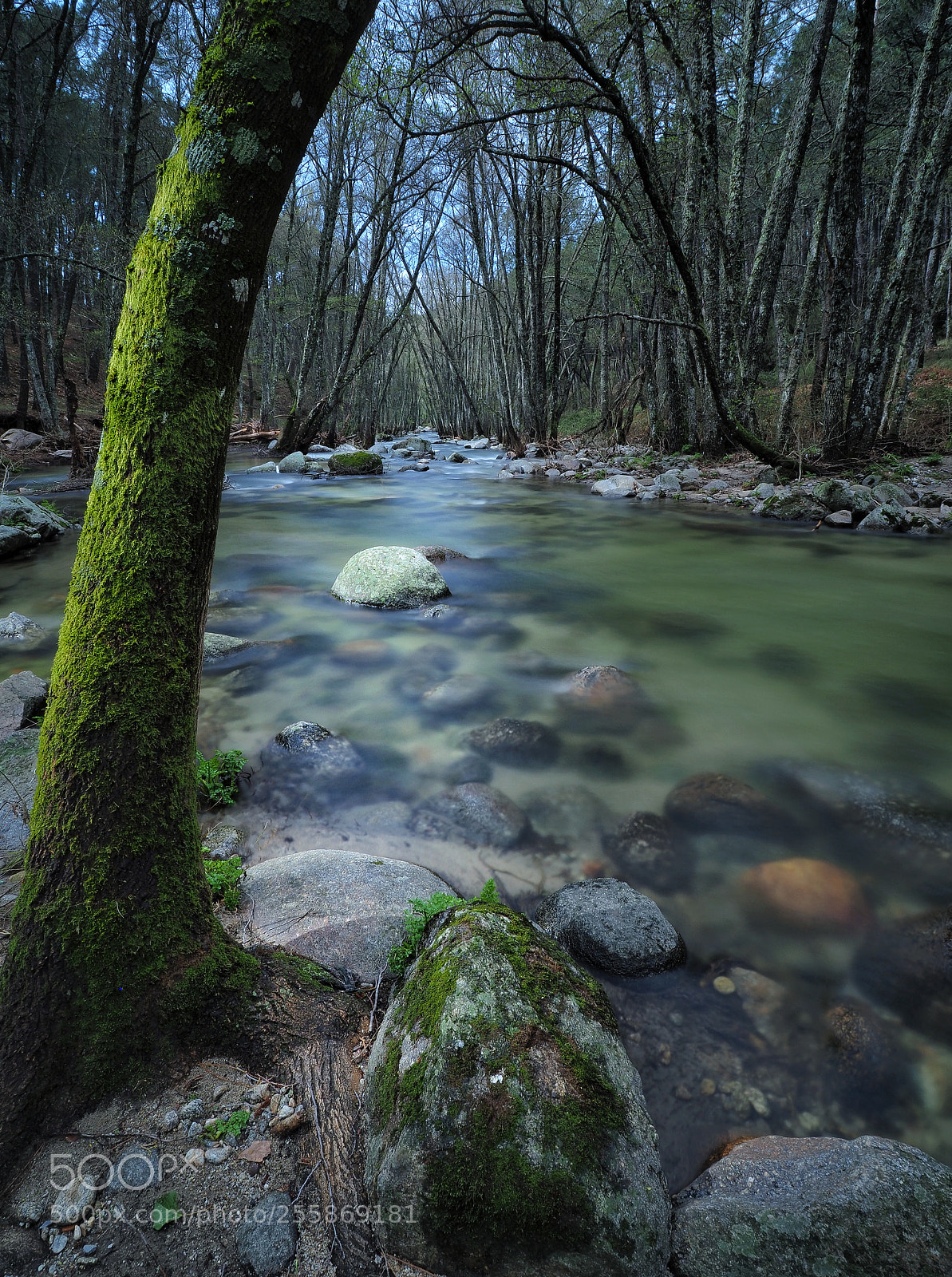 Olympus OM-D E-M1 Mark II sample photo. Río arenal photography