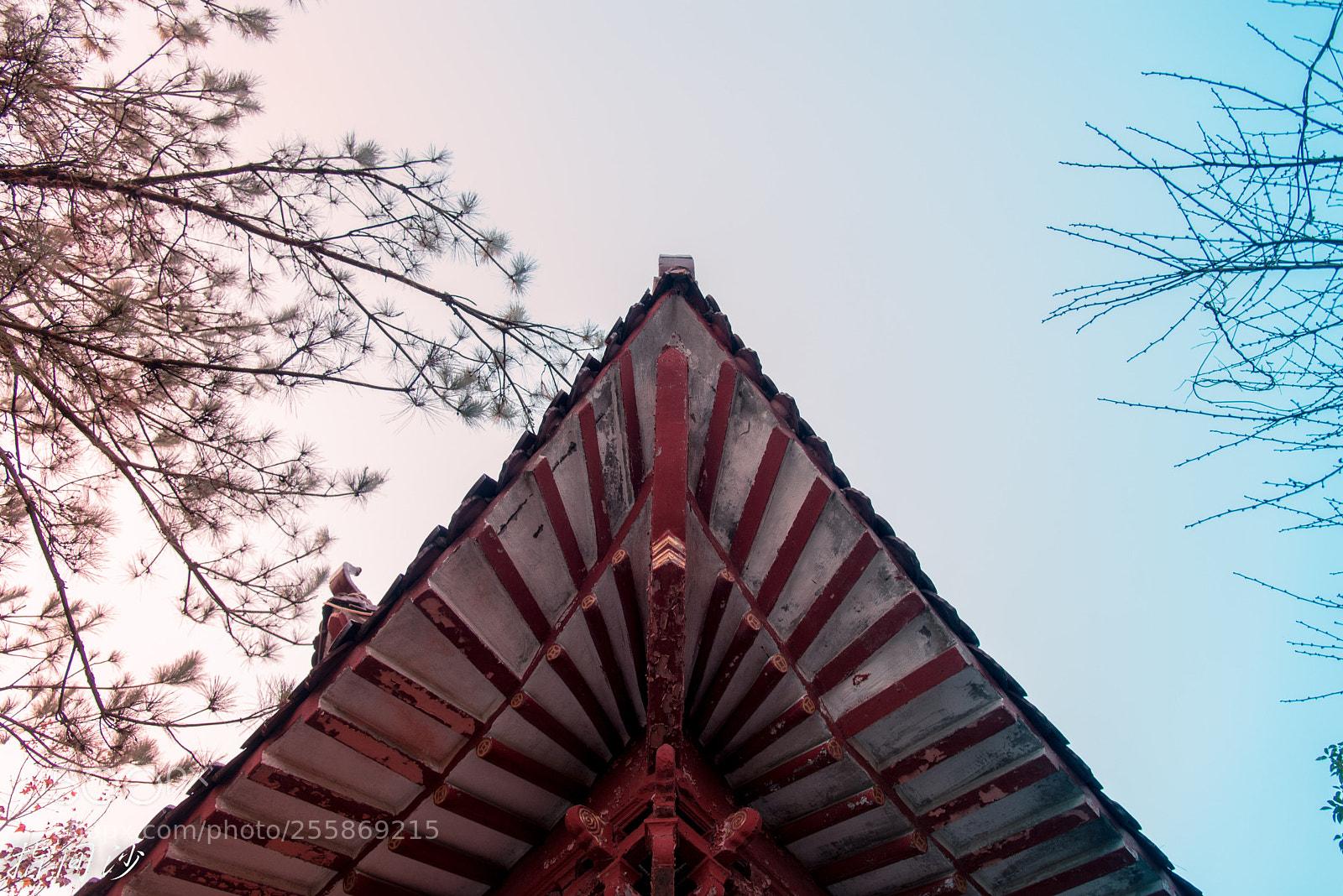 Nikon D610 sample photo. Untitled photography