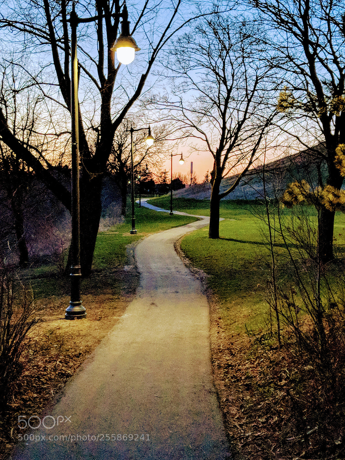 Google Pixel 2 XL sample photo. Road to unknown.. photography