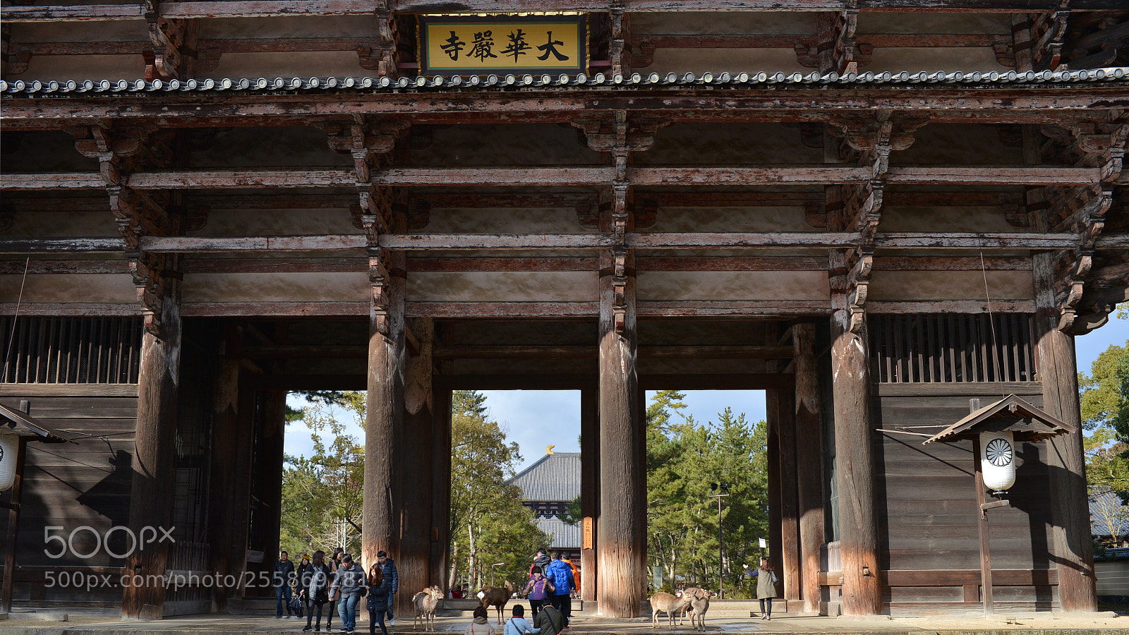 Nikon D4 sample photo. 大華嚴寺。。。 photography
