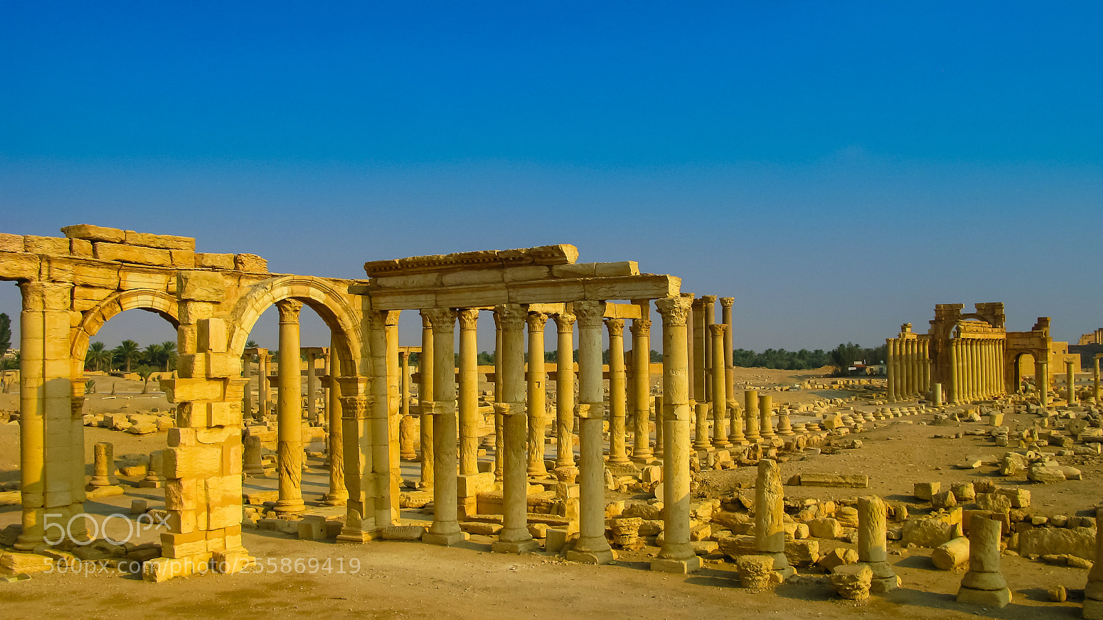 Canon POWERSHOT G9 sample photo. Panorama of palmyra columns photography