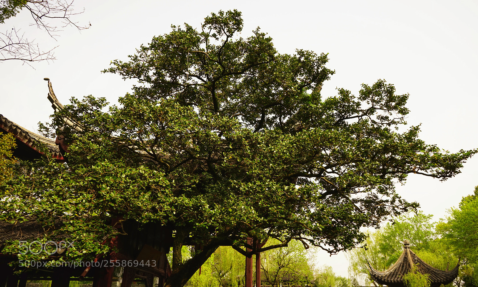 Sony a7 sample photo. Untitled photography
