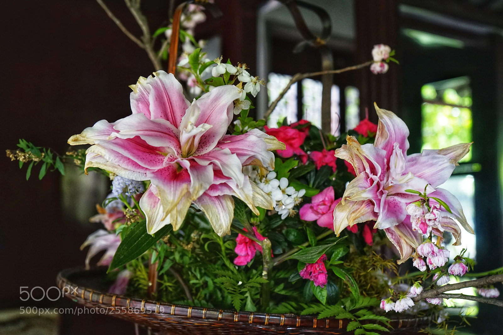 Sony a7 sample photo. Untitled photography
