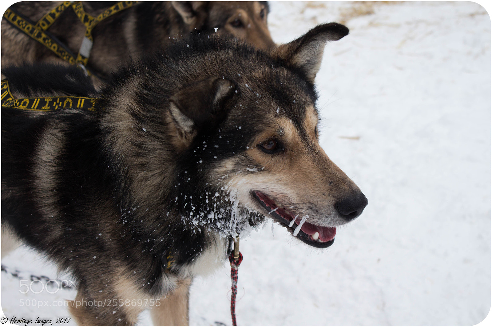 Canon EOS 650D (EOS Rebel T4i / EOS Kiss X6i) sample photo. 10 miles down... photography