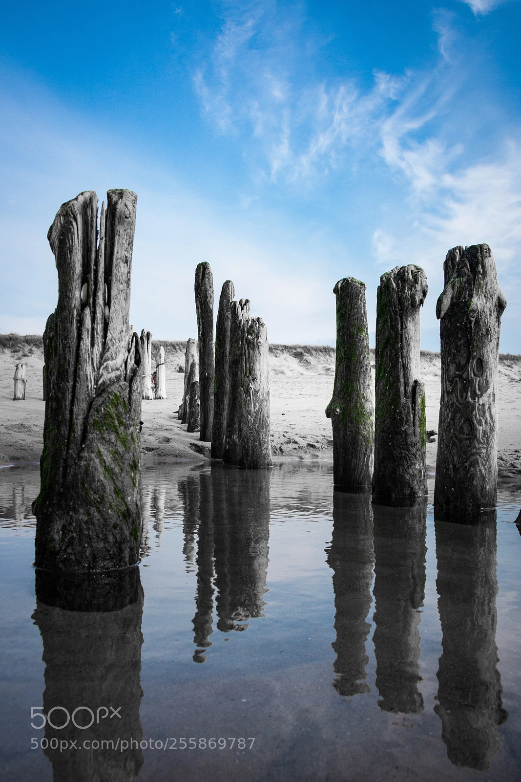 Canon EOS 40D sample photo. Sylt - reflection photography
