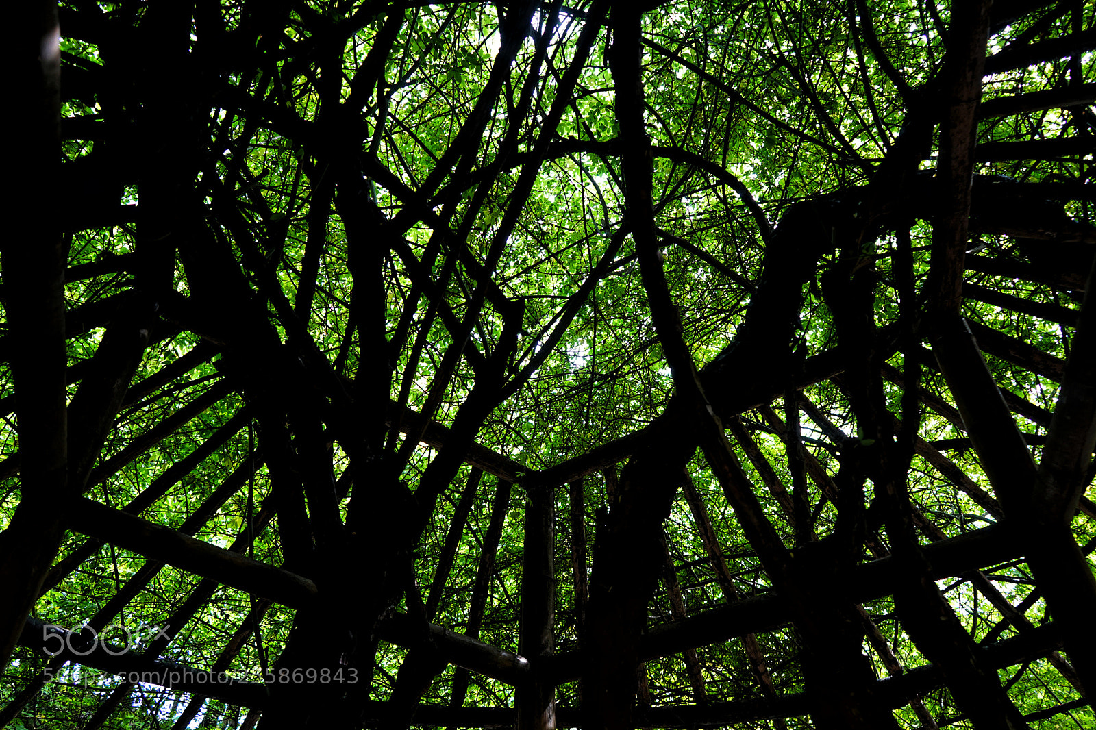 Sony a7 sample photo. Untitled photography