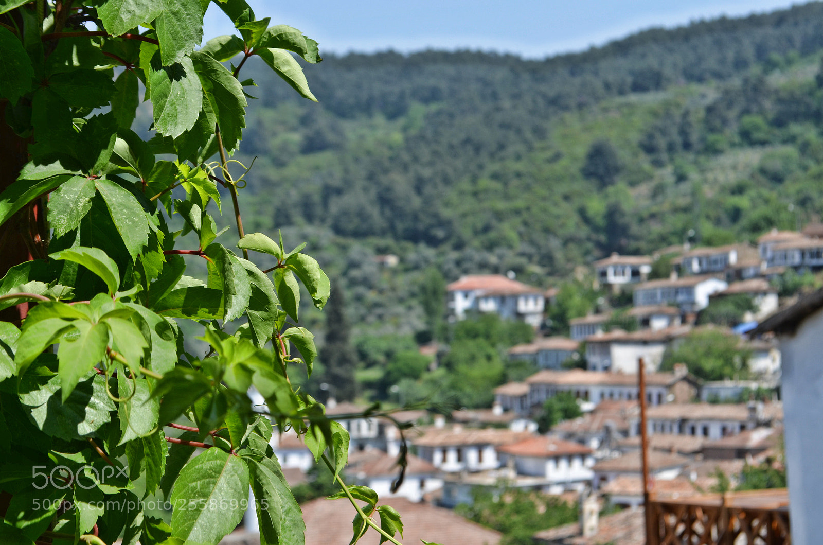 Nikon D5100 sample photo. Sirince village photography